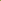 Ranunkel 'Elegance® Crema'