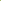 Allium (Zierlauch) Vineale 'Hair'