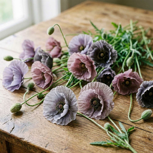 Blumen für magere, nährstoffarme Böden