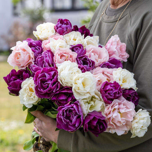 Wie tief pflanzt man Blumenzwiebeln?