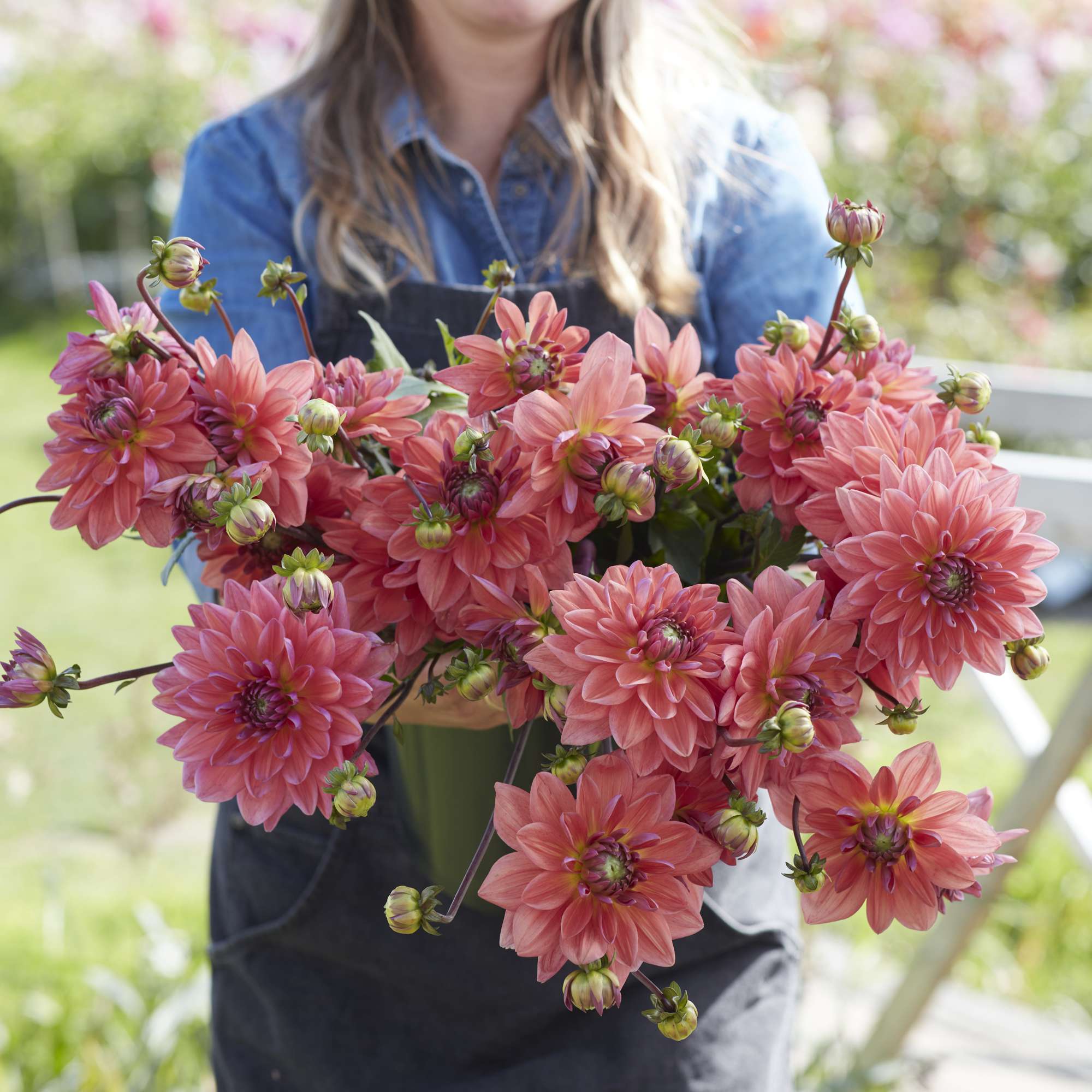 Exklusiv - Bloomenwelt