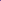 Hyazinthe 'Atlantic'