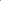 Hyazinthe 'Anna Marie'