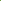 Tulpe 'Green Power'