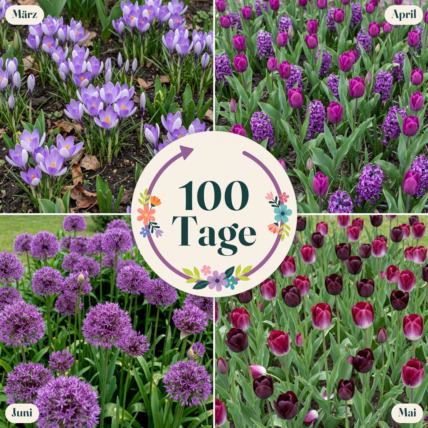 Fertigbeet '100 Tage – dunkel & dramatisch' (1 m²)