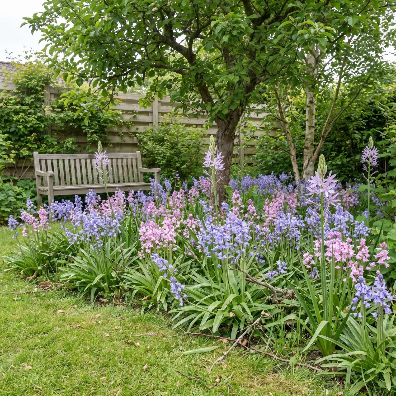 Fertigbeet 'Blue Shadows' (1 m²)