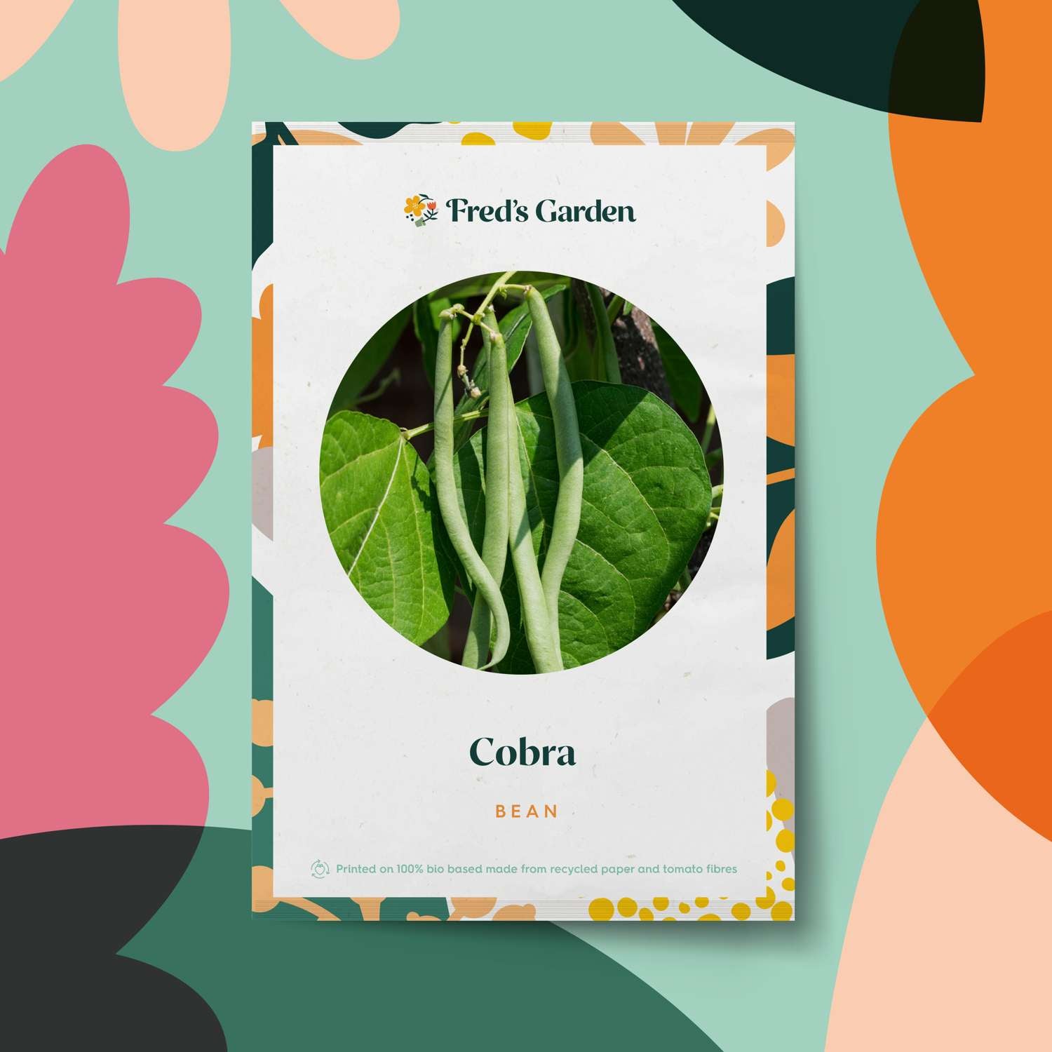 Bohne 'Cobra' (BIO Samen)