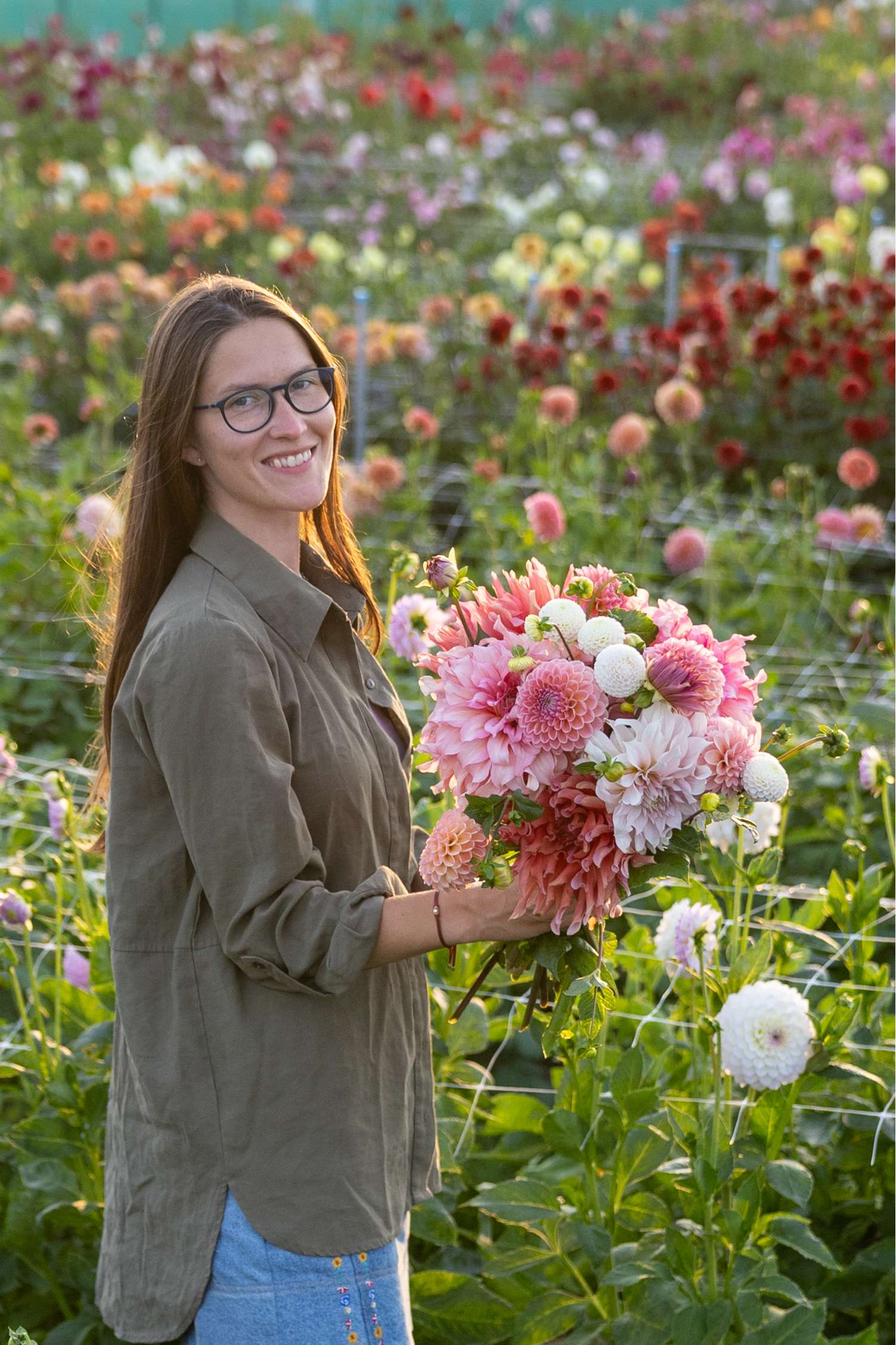 Dahlien - Kollektion 'Watermelon Shake' - Dahlia