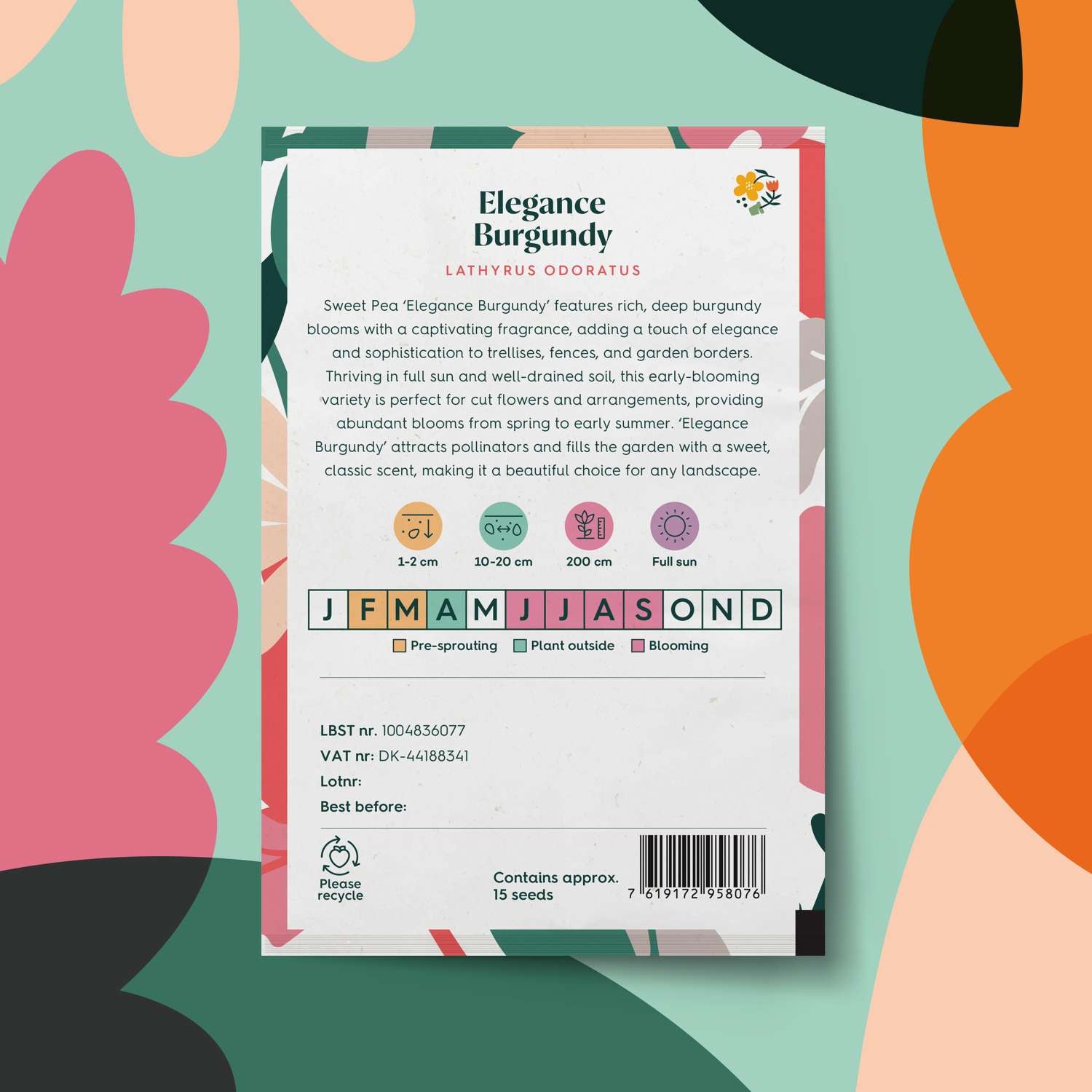 Duftwicke 'Elegance Burgundy' (Samen)