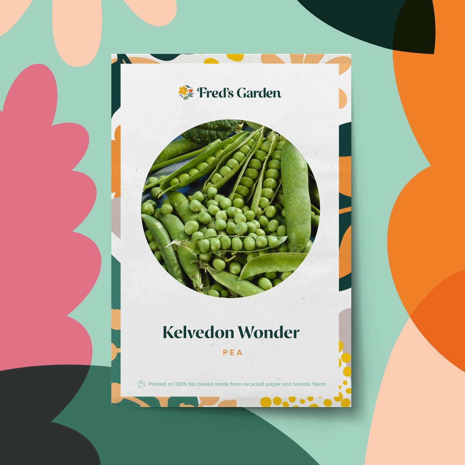 Erbse 'Kelvedon Wonder' (BIO-Samen)