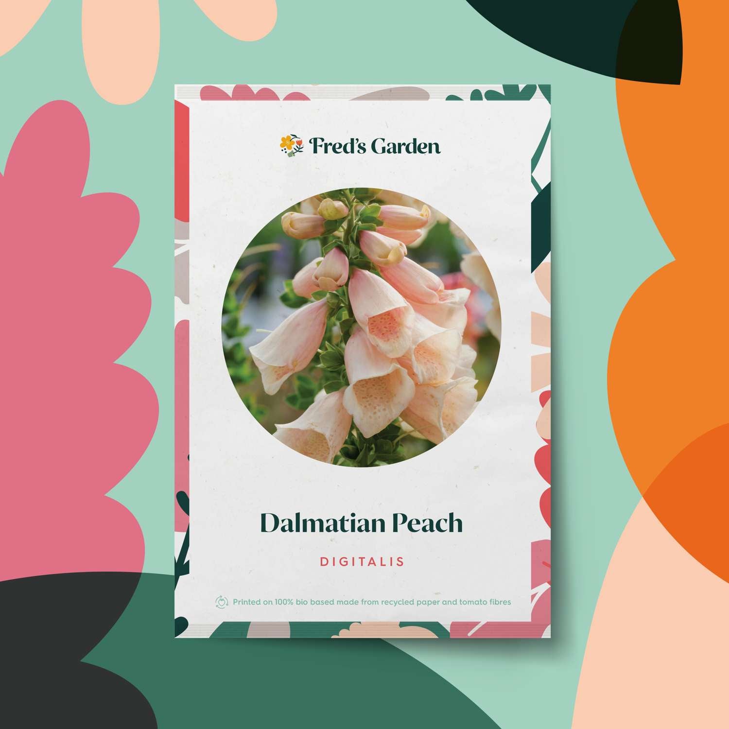 Fingerhut 'Dalmatian Peach' (Samen)