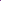 Flammenblume ‘Amethyst’