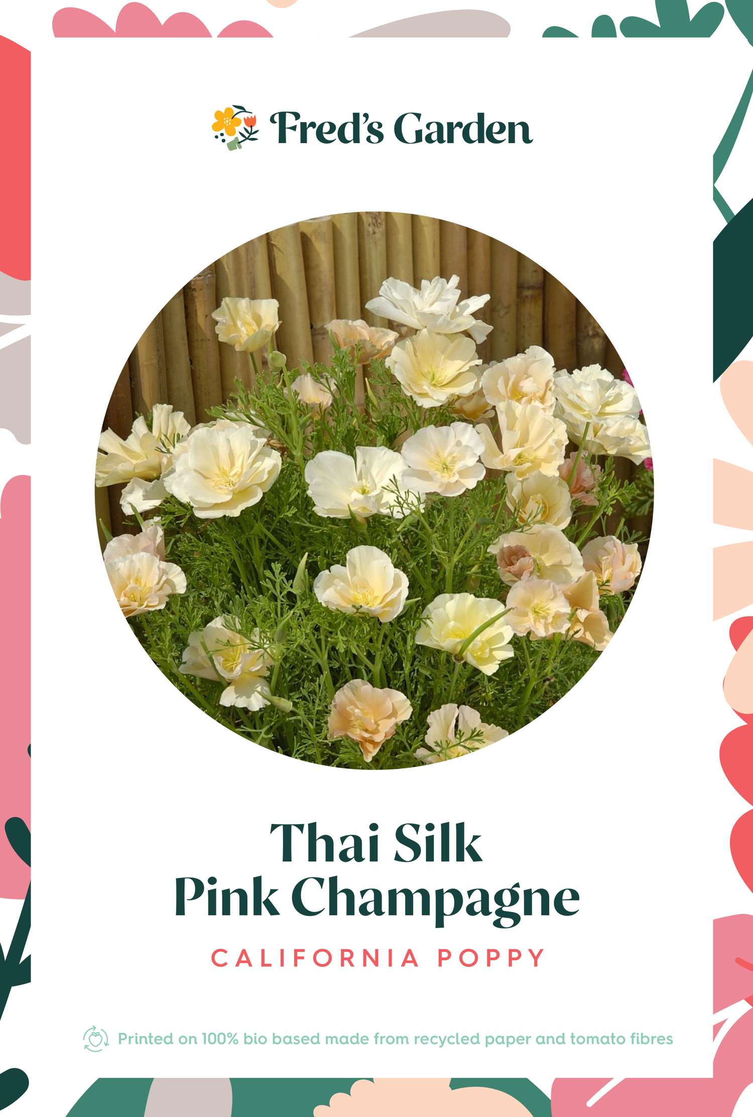 Kalifornischer Goldmohn 'Pink Champagne' (Samen)
