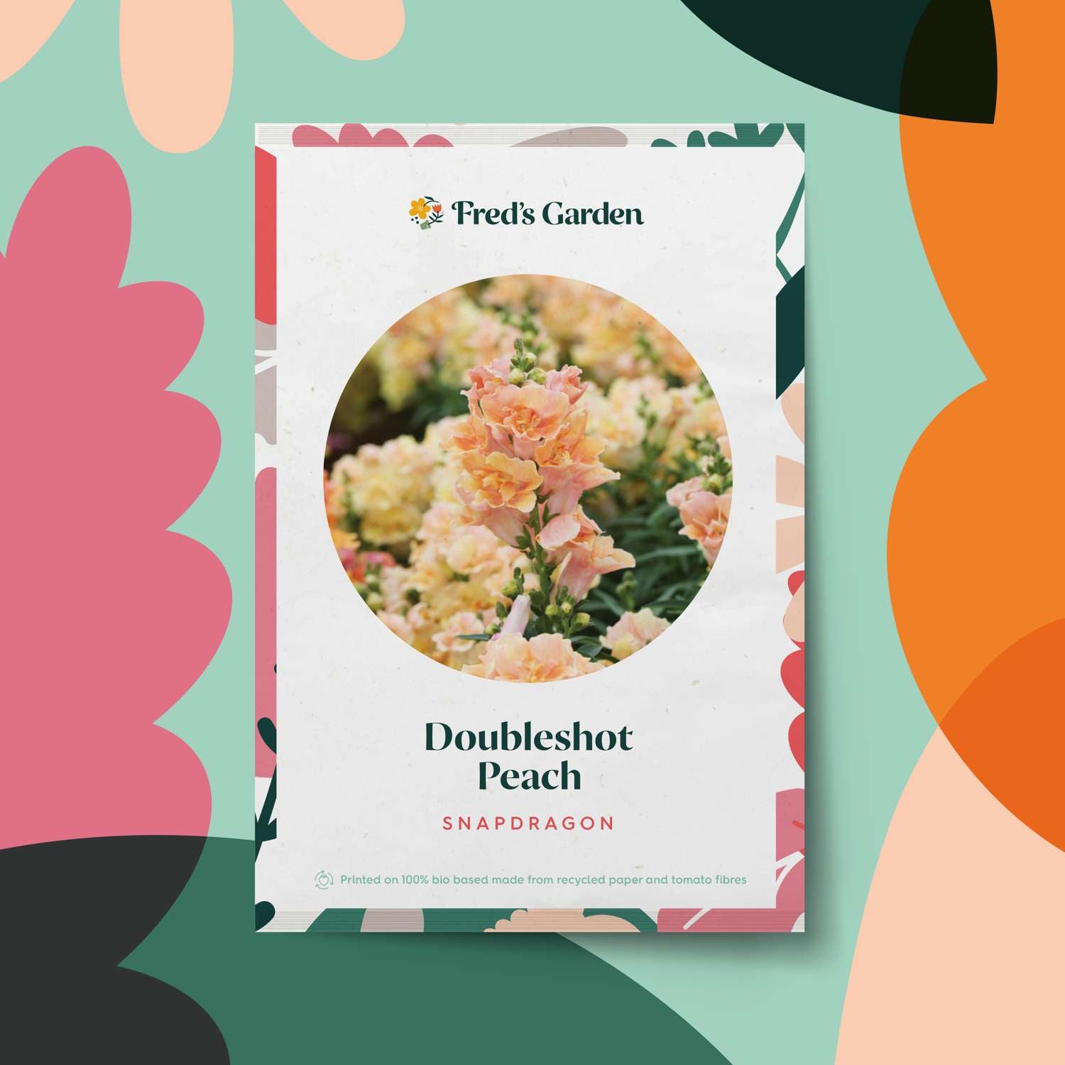 Löwenmäulchen 'Doubleshot Peach' (Samen)