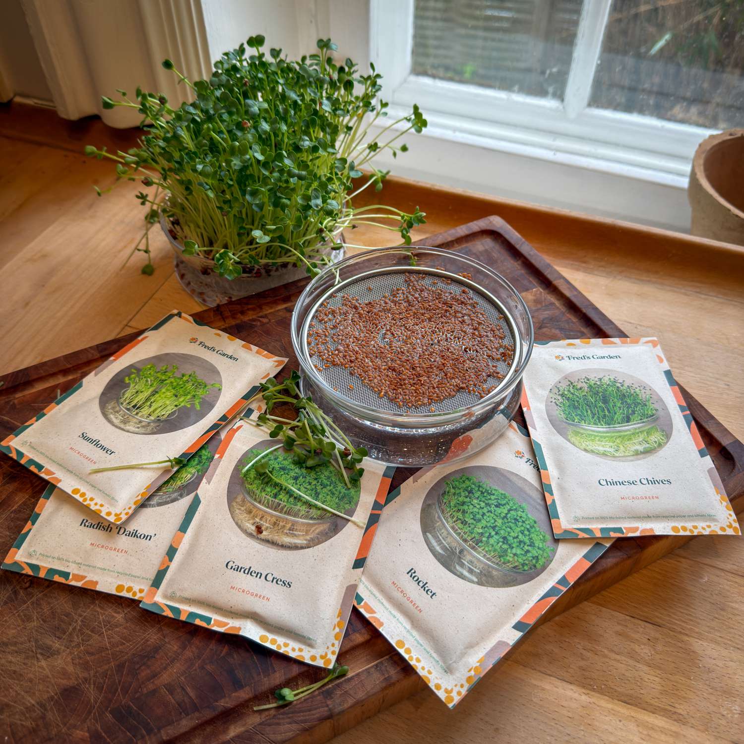 Microgreen-Starter-Set mit Sprossenschale