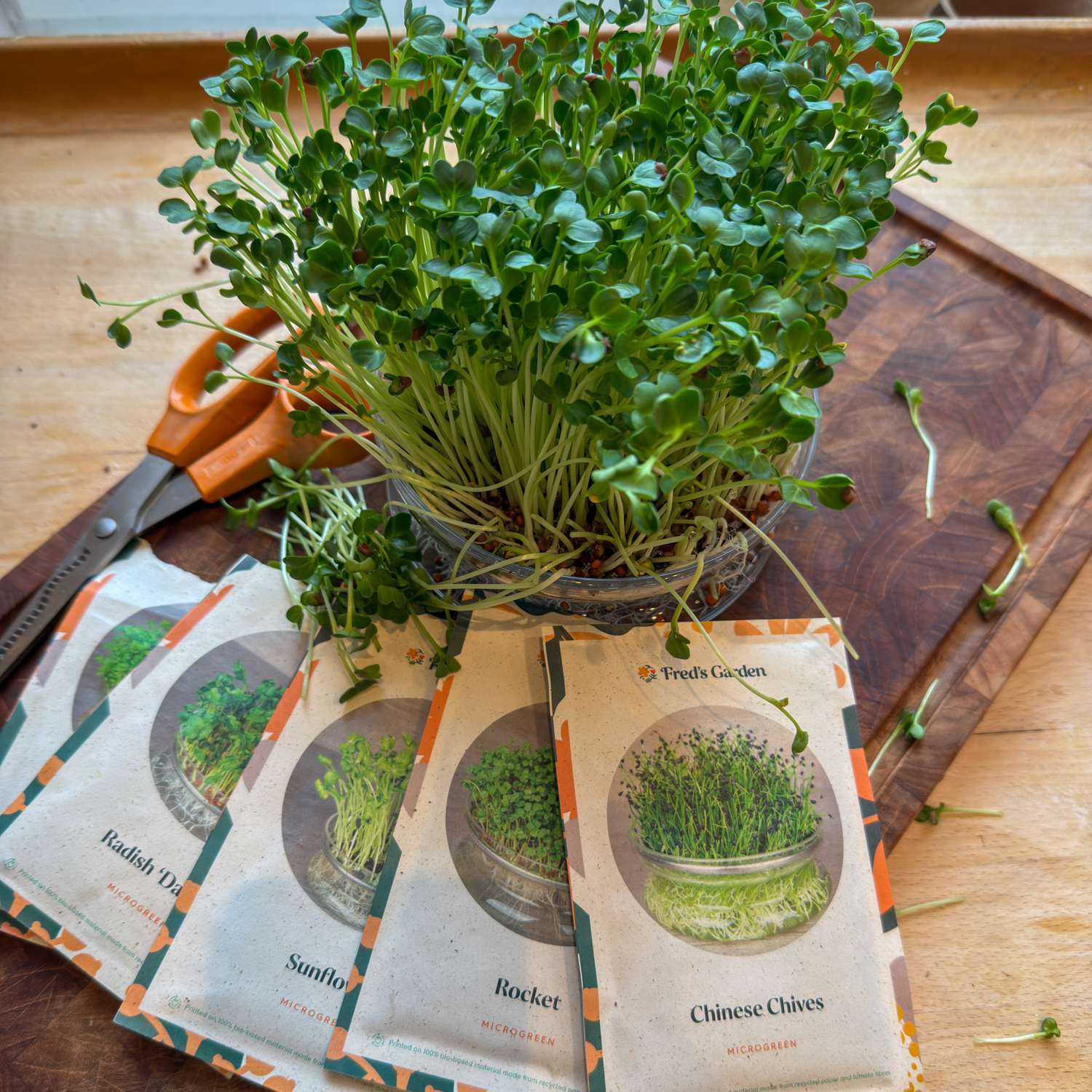 Microgreen-Starter-Set mit Sprossenschale