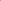 Ranunkel 'Elegance® Rosa Striato'