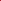 Ranunkeln 'Red'