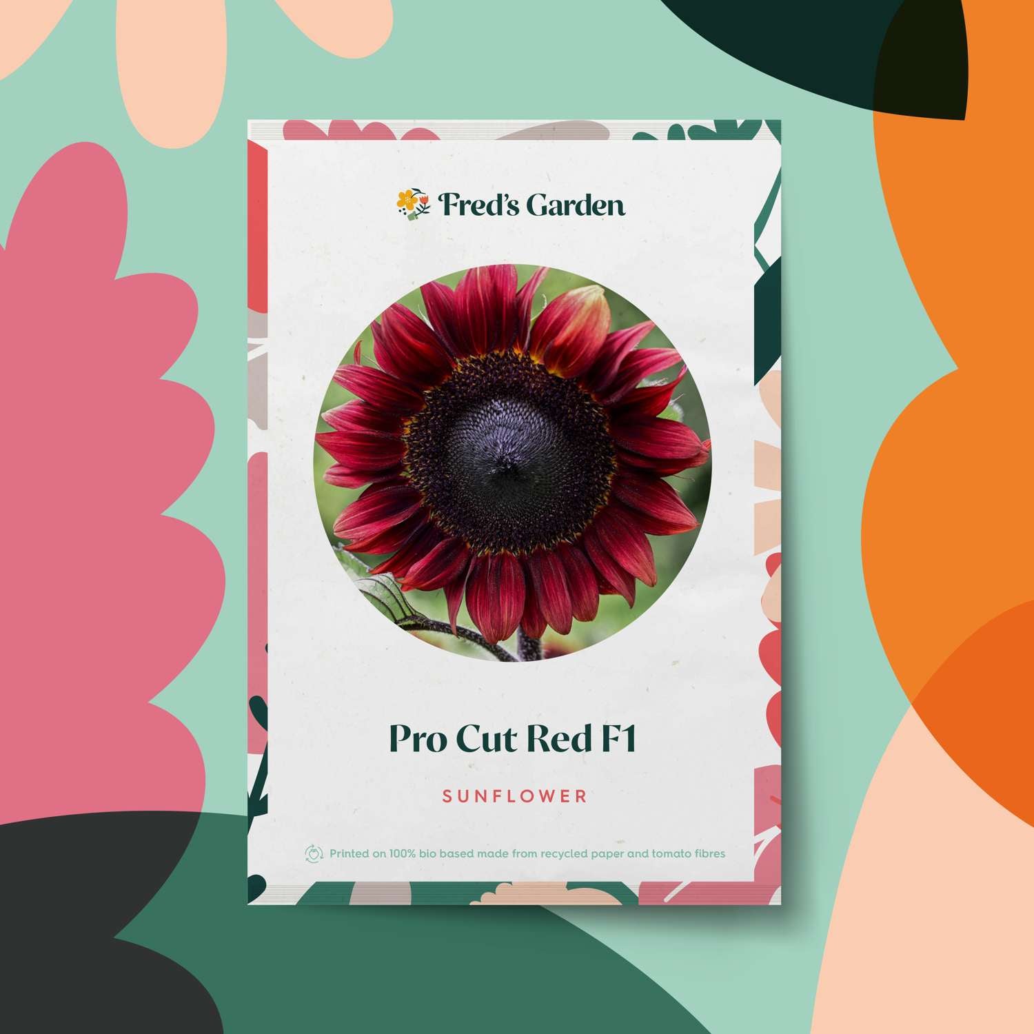 Sonnenblume 'Pro Cut Red F1' (Samen)