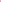 Stockrose ‘Chater's Double Pink’