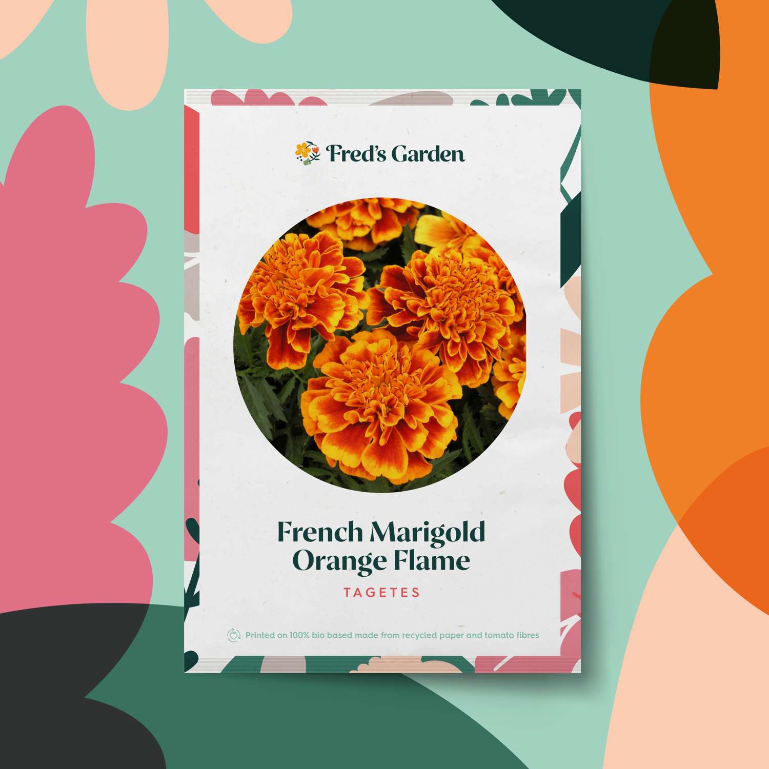 Tagetes 'French Marigold Orange Flame' (Samen)