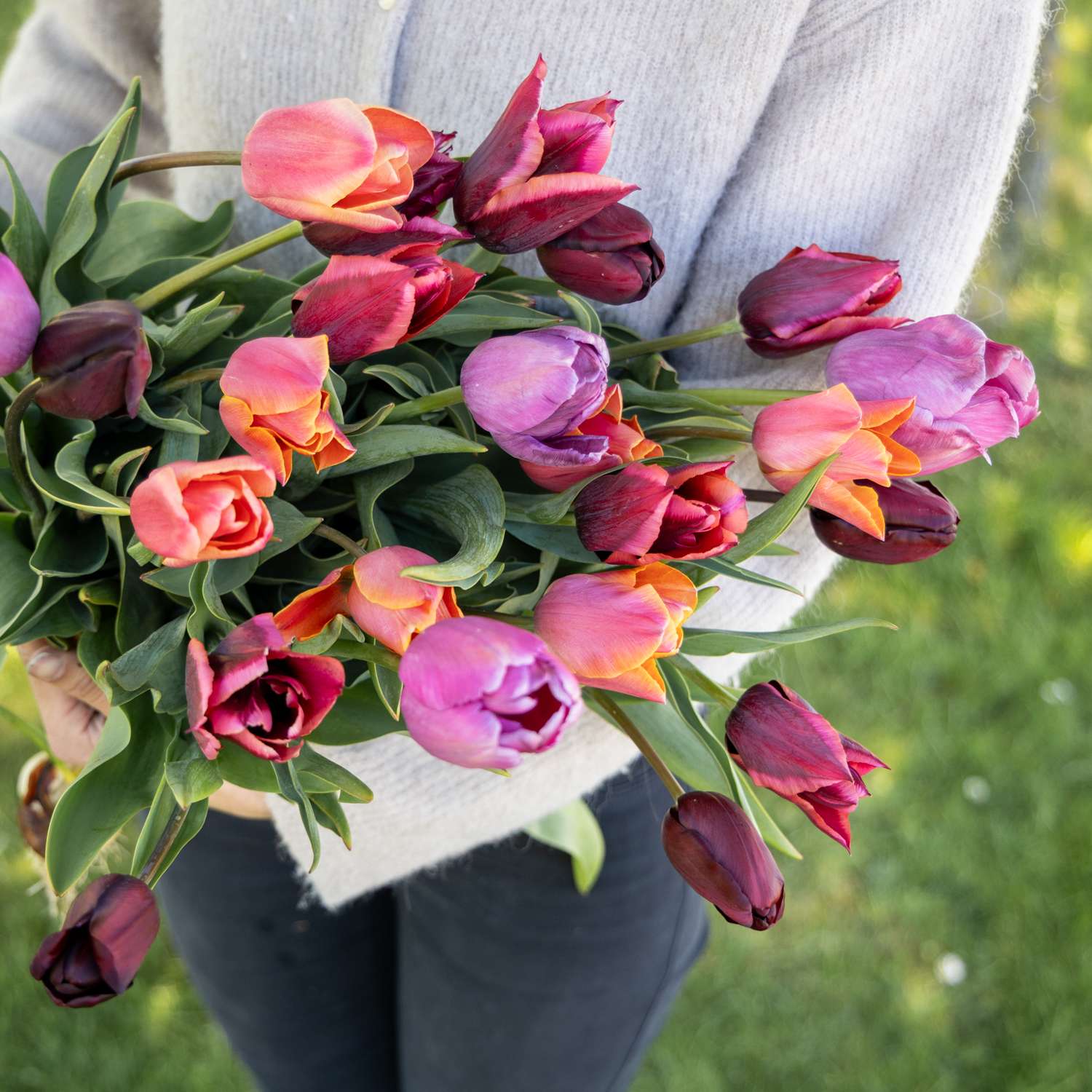 Tulpen-Mischung 'Spice Market'