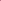 Rose 'Boscobel™' (Auscousin)
