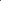 Rose 'Gabriel Oak™' (Auscrowd)