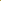 Rose 'Golden Celebration®' (Ausgold)