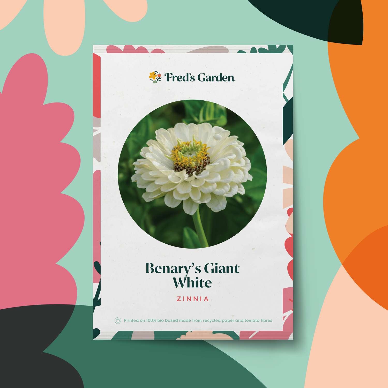 Zinnie 'Benarys Giant White' (Samen)